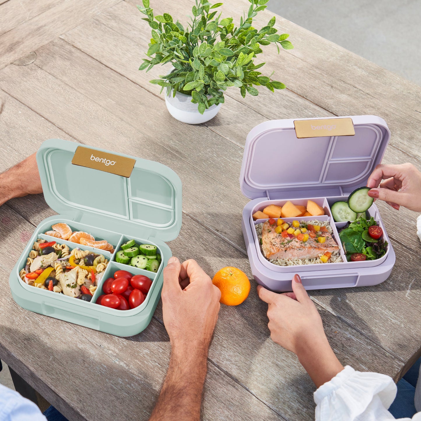 bentgo-modern-lunch-box-2-pack-u7 COSTCOBMCPRODUCTIMAGE_2.jpg